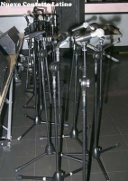 200103EsibizioneGruppoGalgiornatadiproveElcafelatino_01_IMG0011.jpg