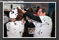 201002FestaScuolaWaltDisneyaltri_01_IMG0063.jpg